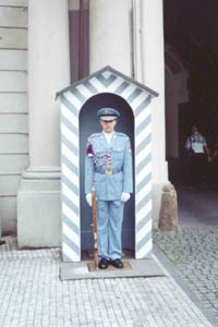 Castle guard.jpg (12422 bytes)