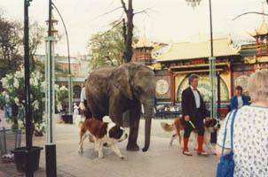 tivoli_elephant.jpg (17496 bytes)